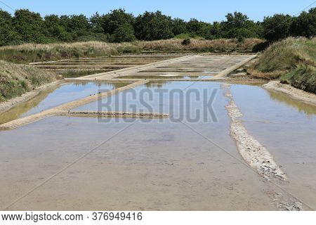 View Of The Famous Salt Marshes Of Guerande, France