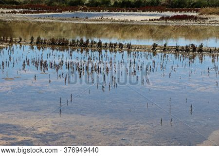 View Of The Famous Salt Marshes Of Guerande, France