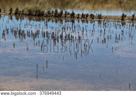 View Of The Famous Salt Marshes Of Guerande, France