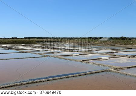 View Of The Famous Salt Marshes Of Guerande, France