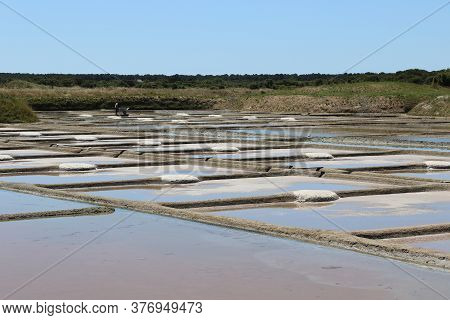View Of The Famous Salt Marshes Of Guerande, France