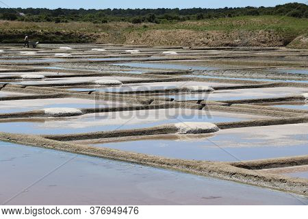 View Of The Famous Salt Marshes Of Guerande, France