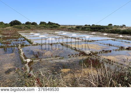 View Of The Famous Salt Marshes Of Guerande, France