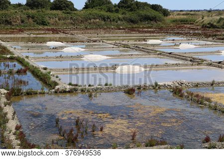 View Of The Famous Salt Marshes Of Guerande, France