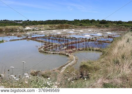 View Of The Famous Salt Marshes Of Guerande, France