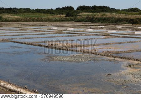 View Of The Famous Salt Marshes Of Guerande, France