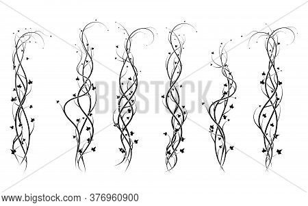 Weaving Curls Plants Ivy Decoration Ornament New Version Vector