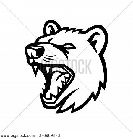Mascot Icon Illustration Of Head Of An Angry Tasmanian Devil, A Carnivorous Marsupial Of The Family 