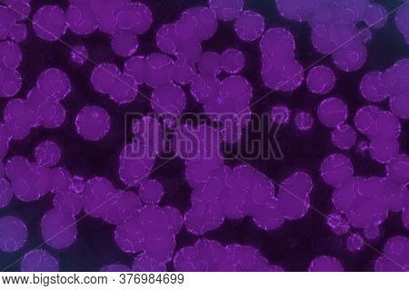 Creative Amazing Many Organic Monadiforms Digital Art Background Texture Illustration