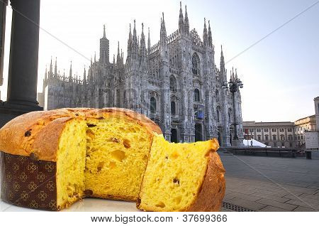 Panettone