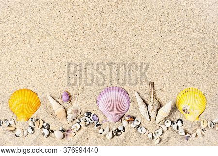 Flat Lay Composition With Colourful Sea Shells And Corals On Sand, Flat Lay, Copy Space. Travel And 