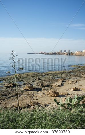 Torrevieja costa