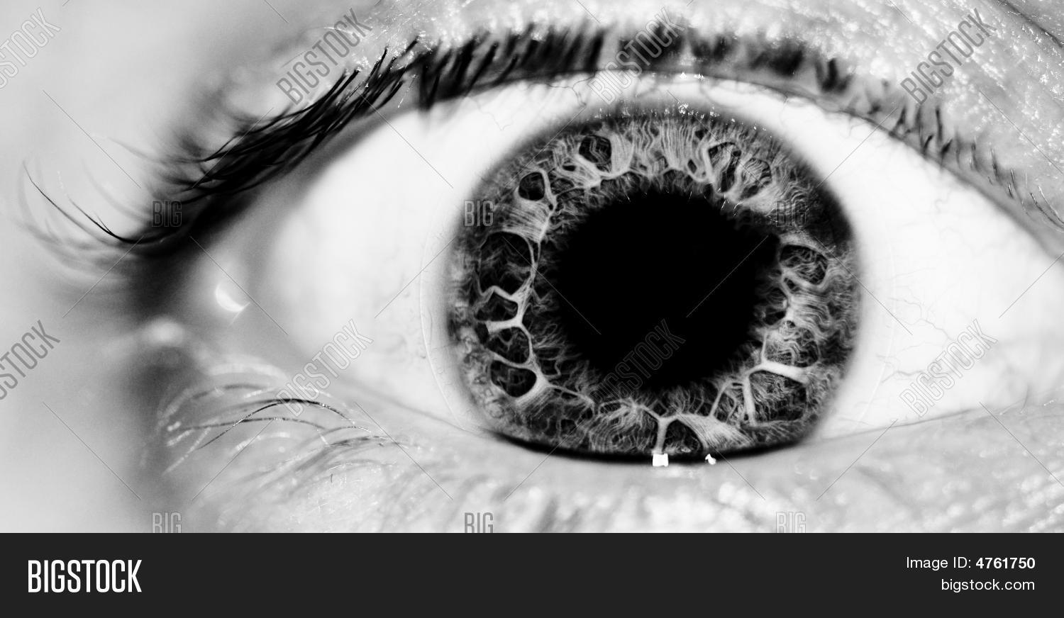 Eyeball Black White Image & Photo Bigstock