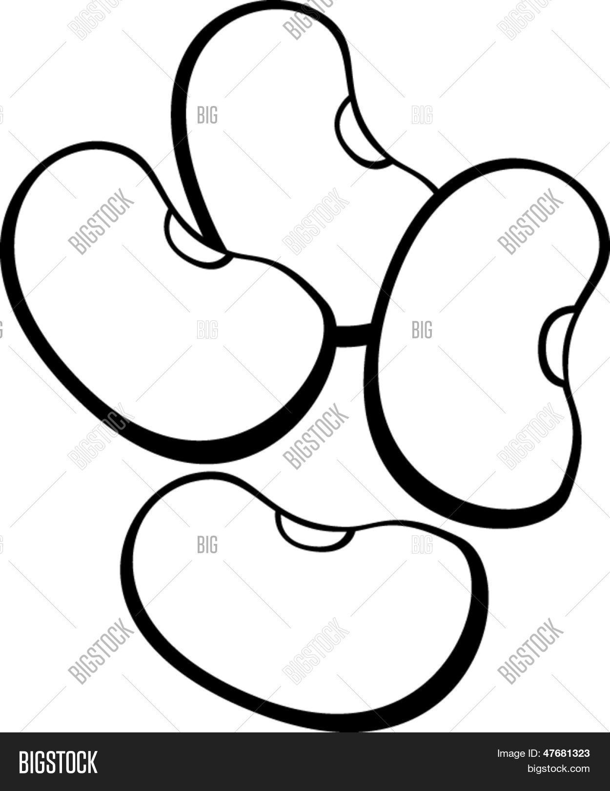 Beans Vector & Photo (Free Trial) Bigstock