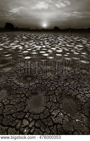 Dried Fish Pond In Hong Kong In Black And White