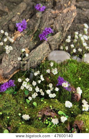 Blomster, træ bark og mos i skoven tæt op