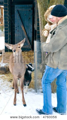 Happy Father And Daughter kijken herten en een Goatling