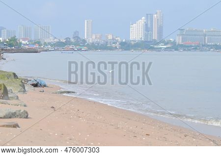 Heron, Bittern Or Egret Or Pelecaniformes On The Beach Or Sea Background Or Beach Background In Patt