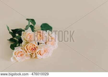 Tender Rose Flowers On A Pink Pech Pastel Background. Place For Text.