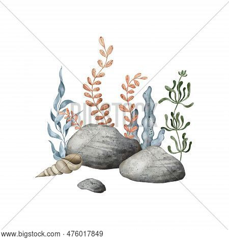 Sea Pebbles With Marine Shell, Bottom Pebble, Seaweed Algae. Hand Drawn Watercolor Illustration. Mar