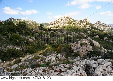 View Of The Forest Of Santa Degna