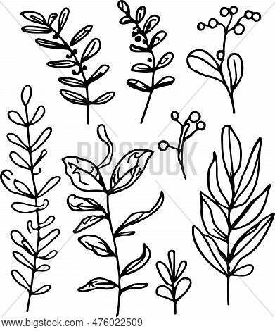 Pretty Hand Drawn Line Forest Flora Vector