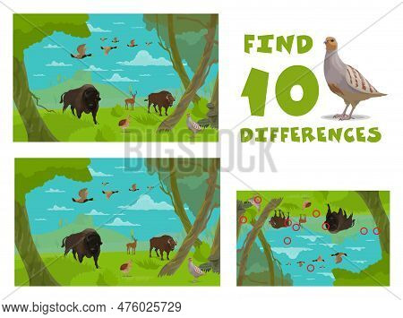 Find Ten Differences. Cartoon Wild Animals. Child Matching Game, Difference Search Vector Children P