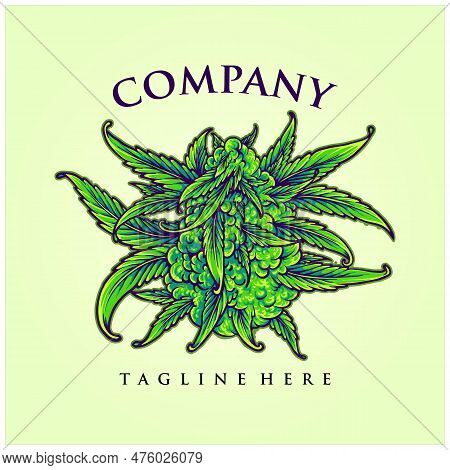 Cannabis Flower Buds Strain Botanical Hemp Illustrations Vector For Your Work Logo, Merchandise T-sh