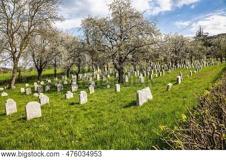 An Old Jewish Cemetery At Hagenbach, Pretzfeld In Franconian Switzerland, Bavaria, Germany. Row Of W
