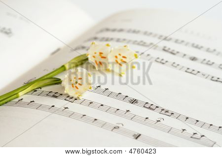 Blomst og noter