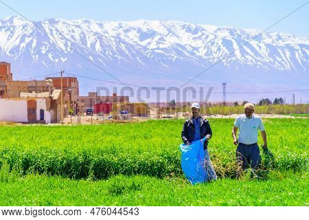 Zaida, Morocco - April 01, 2023: View Local Farm Workers, With Snowy Mountains In The Background, In