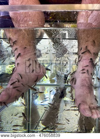 Young Man's Feet Immersed In A Water Tank Where Fish Called 
