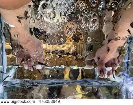 Young Woman's Feet Immersed In A Water Tank Where Fish Called 