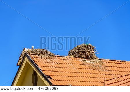 View Of Storks Nesting On A House Roof, In The Middle Atlas Mountains, Morocco