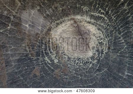Die Glasscherben
