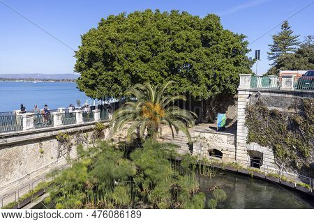Syracuse, Sicily, Italy - April 29, 2023: Fountain Of Arethusa On Ortygia Island, A Natural Spring O