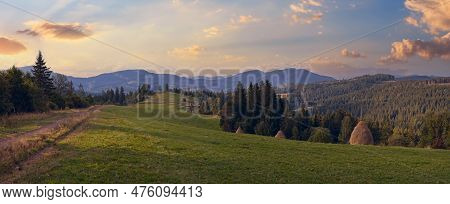 Summer Mountainous Green Meadow With Stackes Of Hay (slavske Village, Carpathian Mts, Ukraine).
