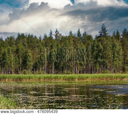Lake Ruotsalainen Summer View With Water Lilys On Surface (near Hevossaari, Finland).