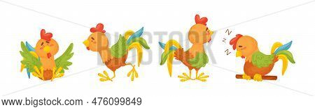 Rooster Funny Character With Bright Feathers Engaged In Different Activity Vector Set