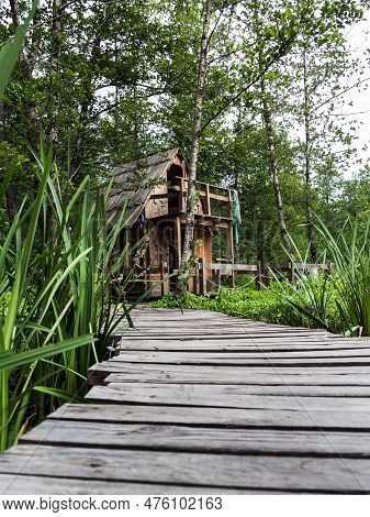 A Picturesque Old Wooden Hunting Or Fishing Lodge In A Swamp. Wooden Bridge Leading To The House. Bo