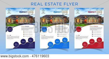 Real Estate Flyer Vector Template Design. Professional Real Estate Flyer Design, Different Color In 