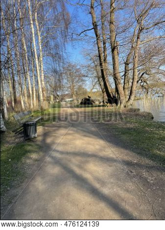 Lake With Trees Near By Soro In Denmark.