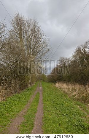 Canal Towpath In April
