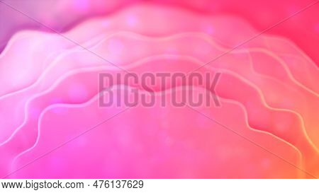 Delicate Pink And Orange Agleam Soft Lines - Abstract 3d Rendering