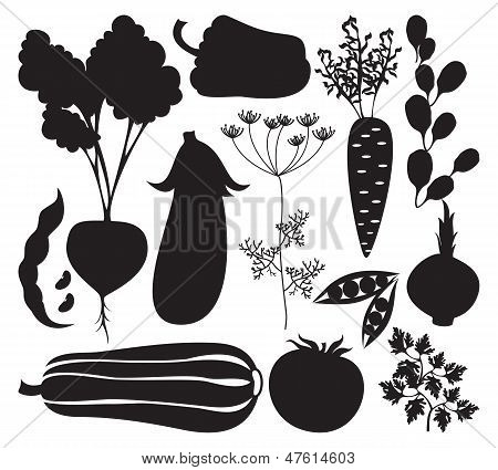 Vector set of black home cleaning elements on white background. Vector illustration