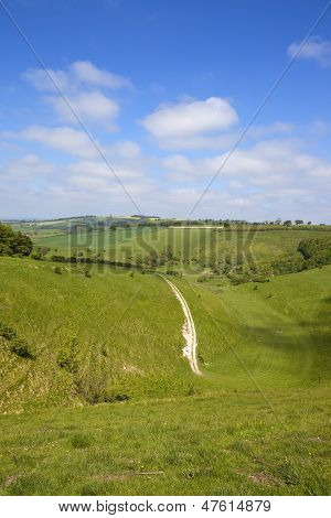 Belle Painsthorpe Dale