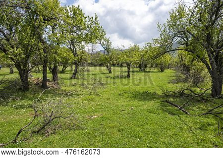 Iskar Gorge Near Village Of Bov,  Balkan Mountains, Bulgaria