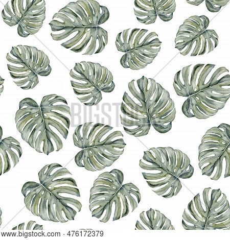 Tropical Leaves Seamless Pattern. Monstera Leaves Seamless Pattern. Monstera Leaves On Isolated Back