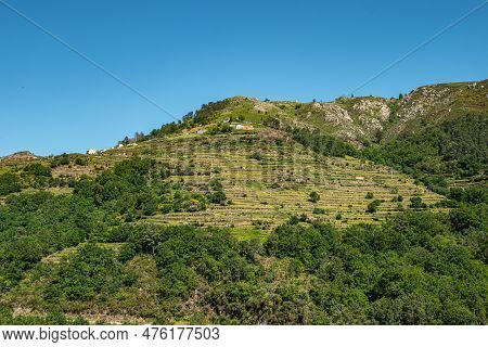 Viewpoint Of The Terraces (miradouro Dos Socalcos), Overlooking The Agricultural Terraces (famous Ti