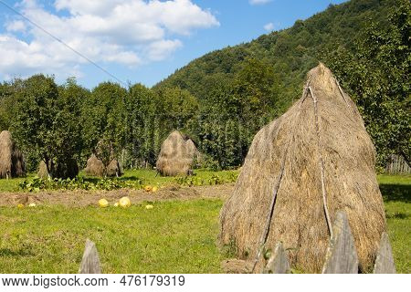 Haystacks In The Countryside On A Summer Day